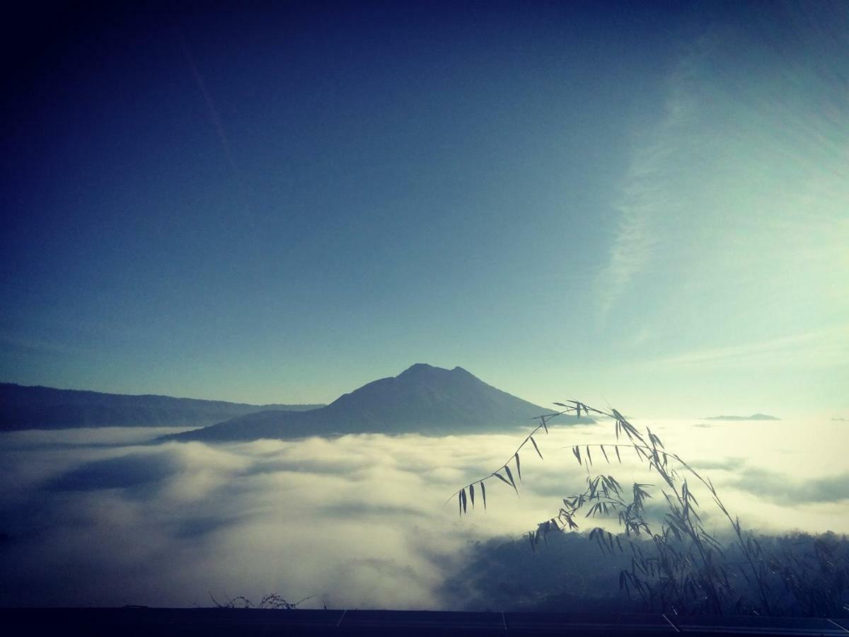 Batur View Homestay Kintamani エクステリア 写真